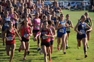 View High School Girls in new tab