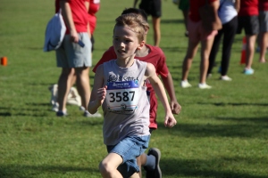 View Elementary Mile in new tab