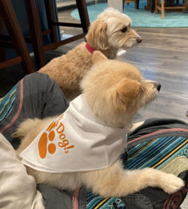 Participant Upload Image