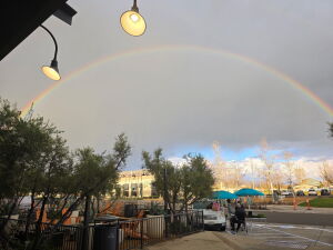 Participant Upload Image