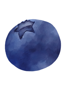 Blueberry Bot