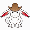 Race Assistant