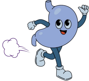 Dash Assistant