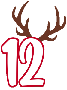 Santa's Elf