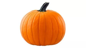 Pumpkinfest 5k Assistant