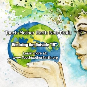 EarthVibes Festival Donation Logo