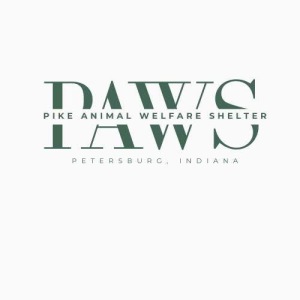 Hoops and Hounds Showdown Donation Logo