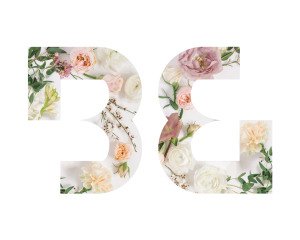 Historic Boston-Edison Association Garden Tour Donation Logo