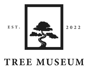 Tree Museum Of Dallas homepage