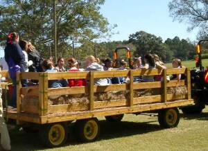 Hay Ride