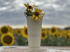 Cream French Flower Bucket- Medium