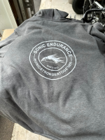 Sonic 10 Year Hoodie