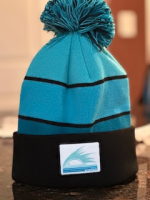 Sonic Winter Pom Beanie