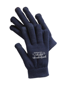 Navy Blue Gloves (Small)