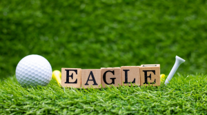 Registration Path Image