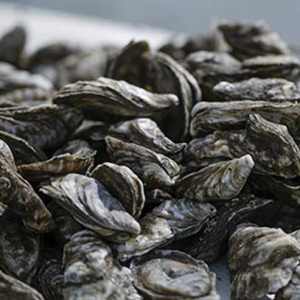 Registration Path Image