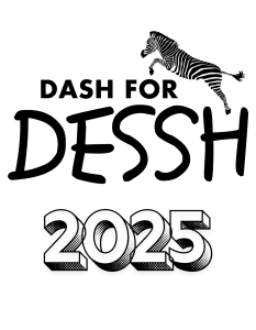 Dash4DESSH 2025 home