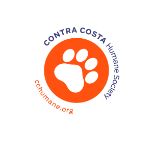 Walk for Paws home