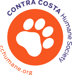Walk for Paws home