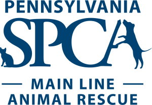 Tails and Trails 5K Run/2K Walk homepage