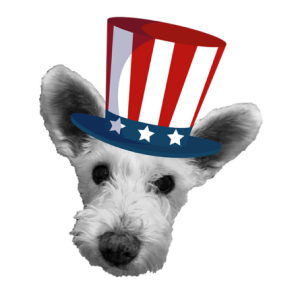 Winnie's Way 5k Rescue Run home