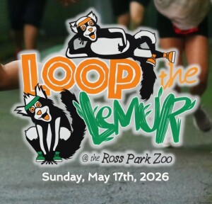 Loop the Lemur at the Ross Park Zoo home