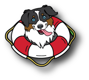 Charity Dog Walk + Pool Pawty