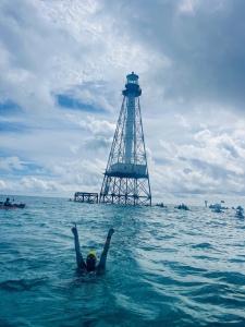 SWIM Thru the Day for the (Alligator) Light! home