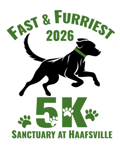 The Fast and Furriest 5k presented by the Sanctuary at Haafsville