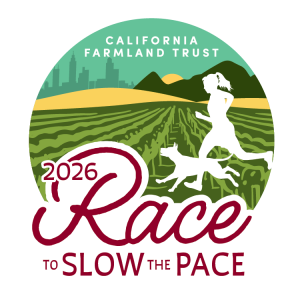 Race To Slow The Pace home