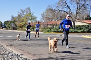 2.5K & 5K Lucky Dawg Jog / Walk for Charity home