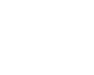 Amazing Preservation Race home