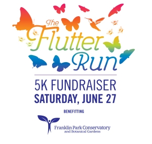 The Flutter Run logo