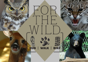 For The Wild 5K/10K+ home
