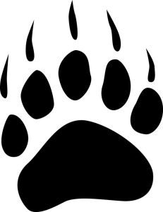 Golden Bear Run Club homepage
