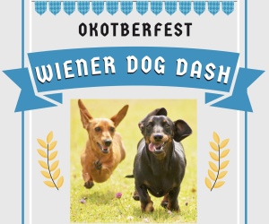 Wiener Dog Dash home