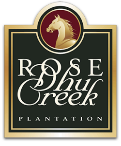 Rose Dhu Creek, Turkey Trot 5K, & Mile Fun Run home