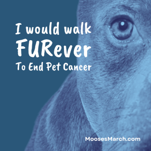 I would walk FURever To End Pet Cancer. A Fun Run/Walk for Moose's March home