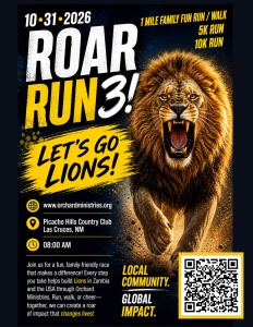 ROAR RUN 3! home