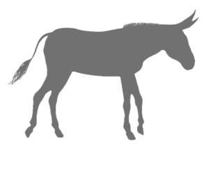 New Year Burro Bash homepage