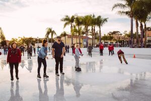 Ice Skating home