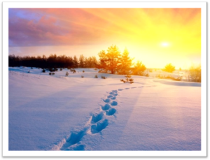 Frosty Footsteps (Free for ERR Members) home