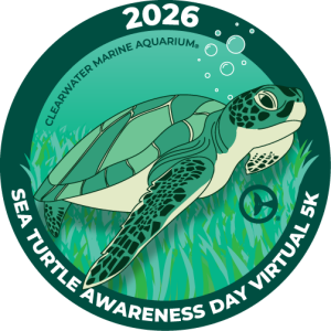 Sea Turtle Awareness Day 2026 Virtual 5K Run logo