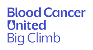 Big Climb Seattle homepage