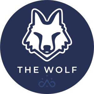 The Wolf Bikepacking Race home