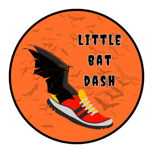 Little Bat Dash home