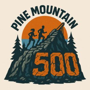 Pine Mountain 500 logo