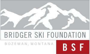 BSF U14/U16 Open Regional Nordic Camp logo