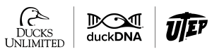 duckDNA Application Portal home
