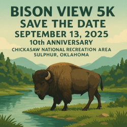 Bison View 5K homepage